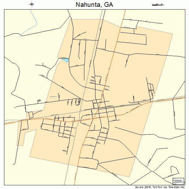 Nahunta, GA street map