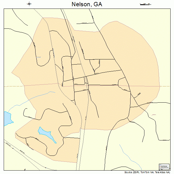 Nelson, GA street map