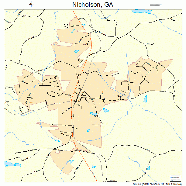 Nicholson, GA street map