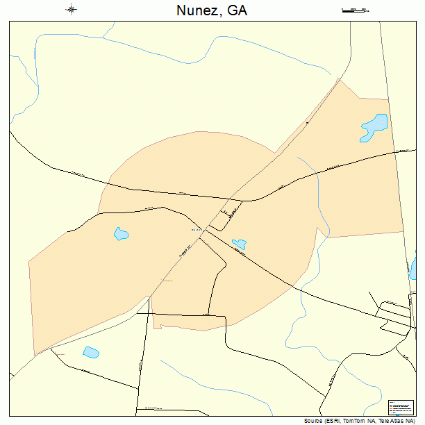 Nunez, GA street map
