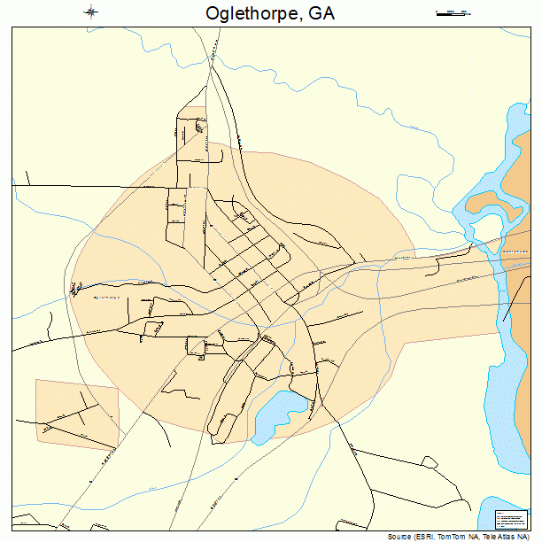 Oglethorpe, GA street map