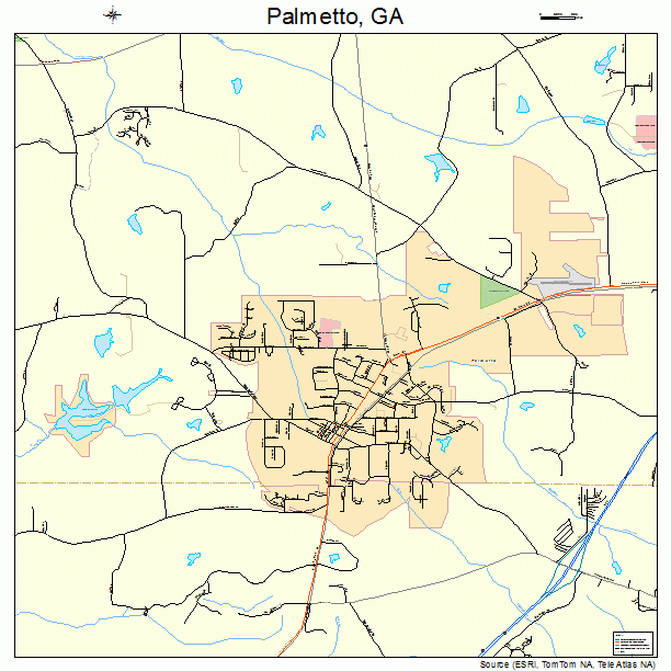 Palmetto, GA street map