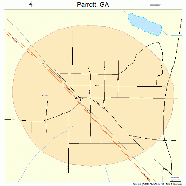 Parrott, GA street map