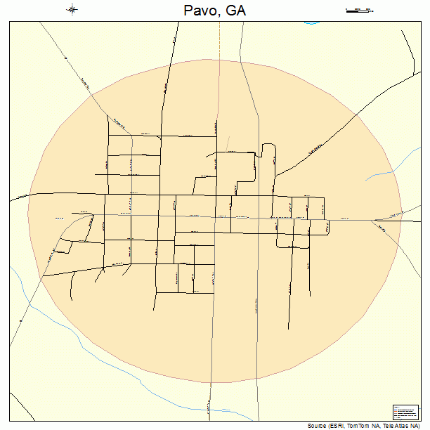 Pavo, GA street map