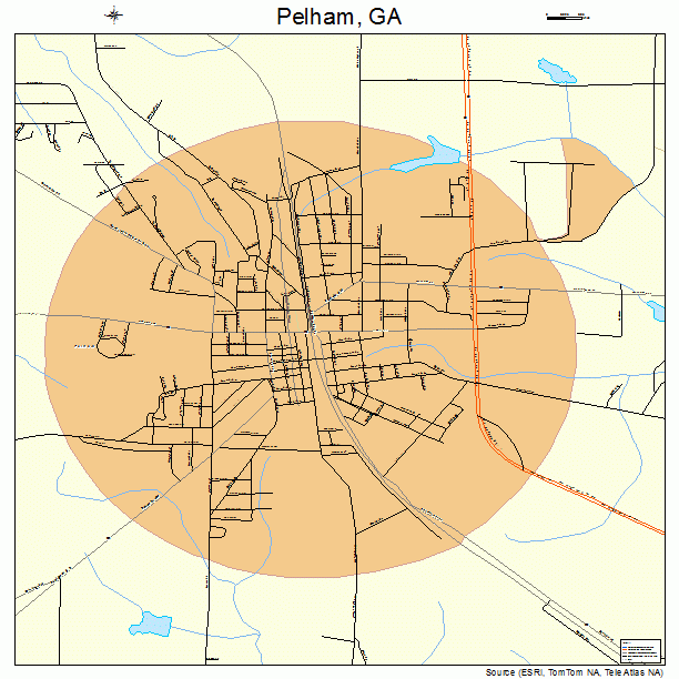 Pelham, GA street map