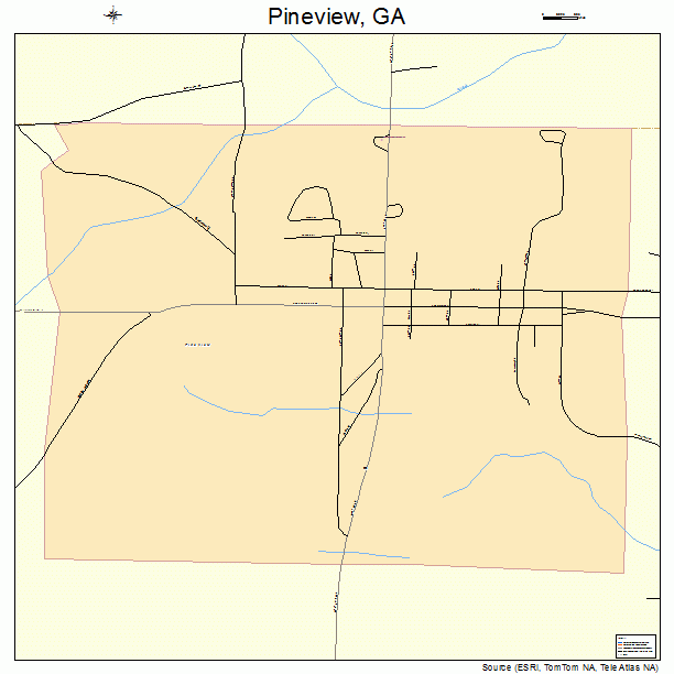 Pineview, GA street map
