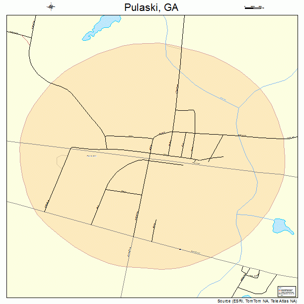 Pulaski, GA street map