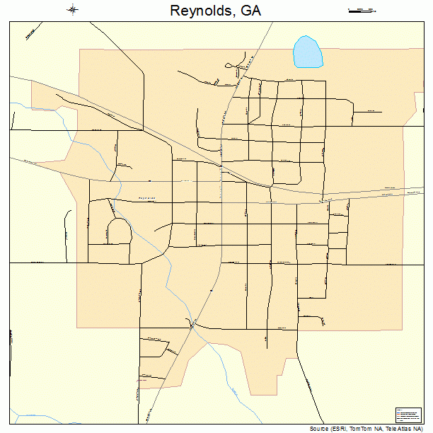 Reynolds, GA street map