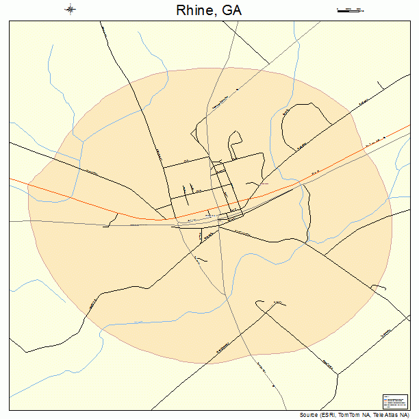 Rhine, GA street map