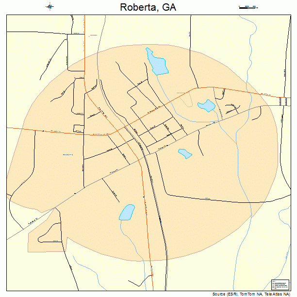 Roberta, GA street map