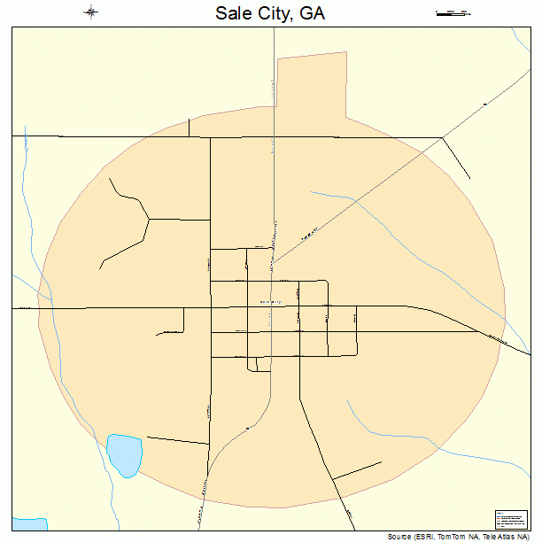 Sale City, GA street map