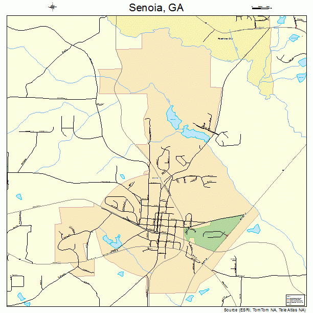 Senoia, GA street map