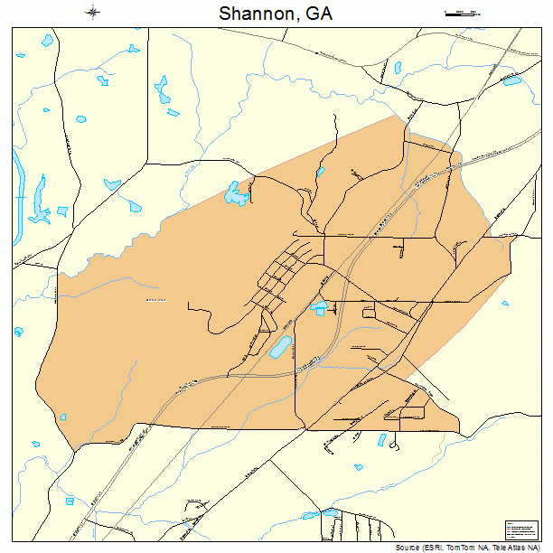 Shannon, GA street map