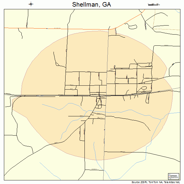 Shellman, GA street map
