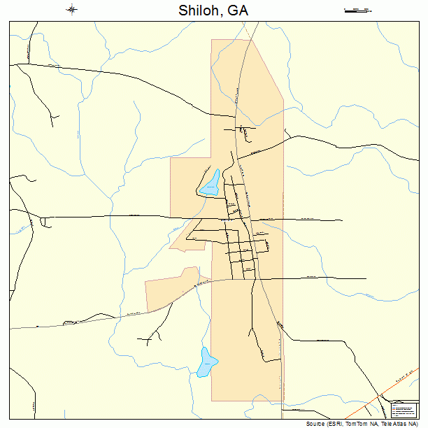 Shiloh, GA street map
