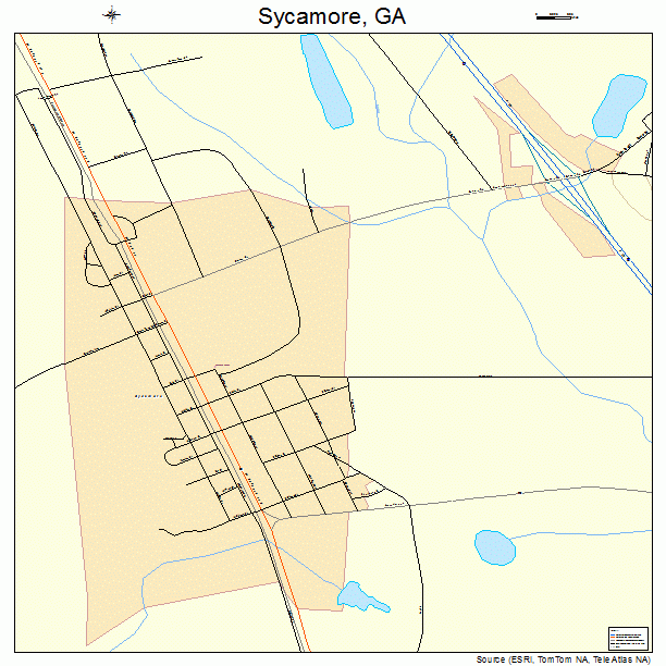 Sycamore, GA street map