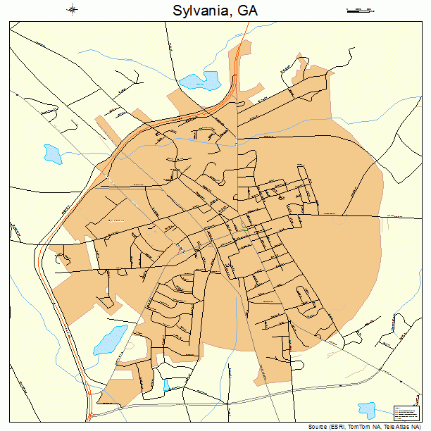 Sylvania, GA street map