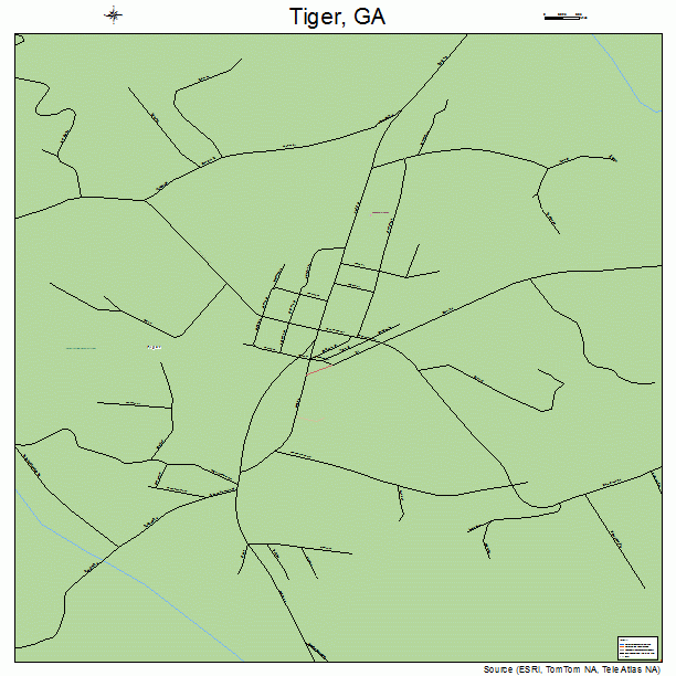 Tiger, GA street map