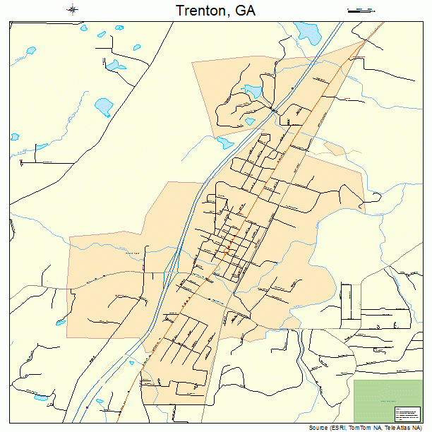 Trenton, GA street map