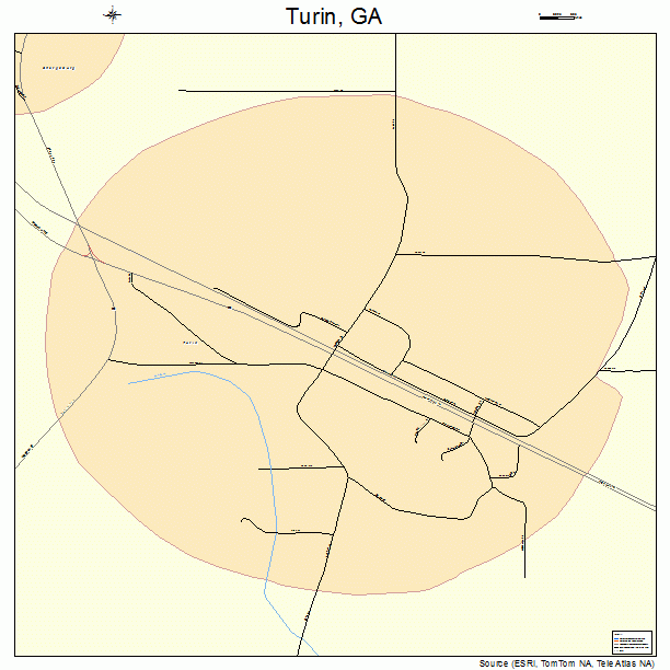 Turin, GA street map