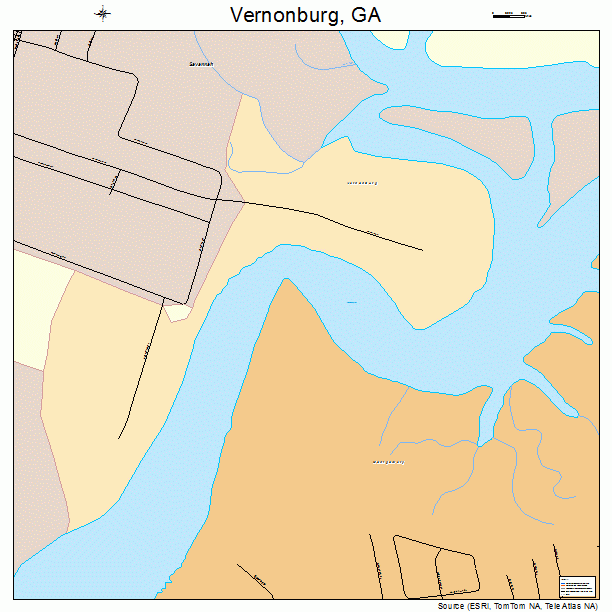 Vernonburg, GA street map