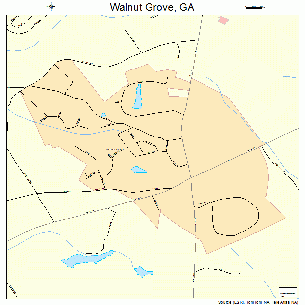 Walnut Grove, GA street map