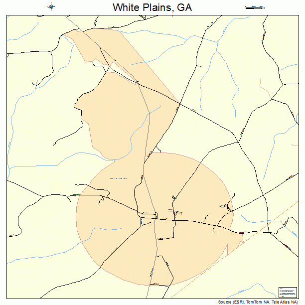 White Plains, GA street map