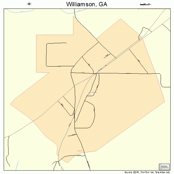 Williamson, GA street map