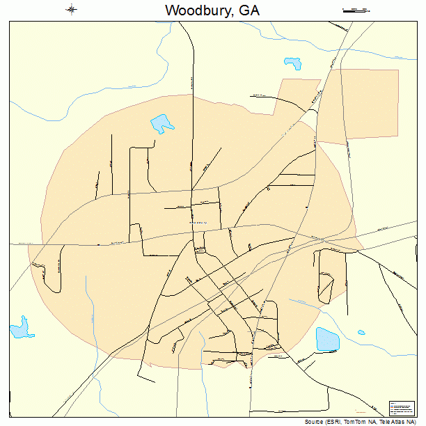 Woodbury Georgia Street Map 1383896