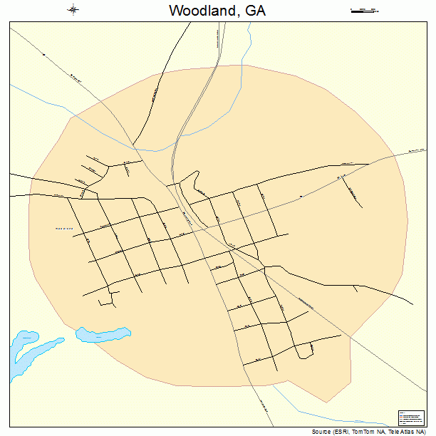 Woodland, GA street map