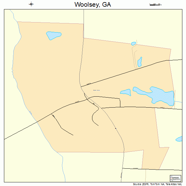 Woolsey, GA street map
