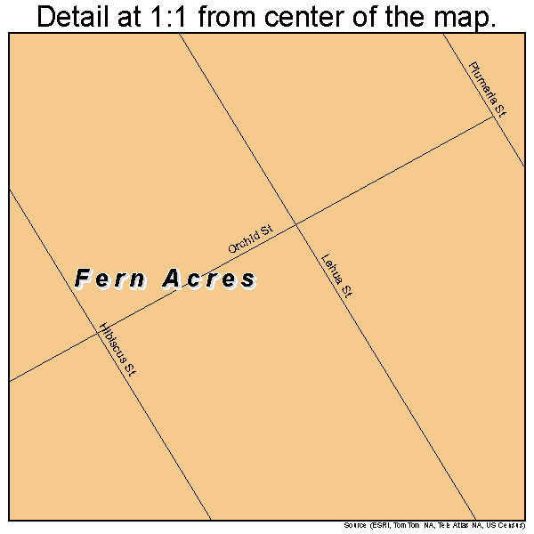 Fern Acres, Hawaii road map detail