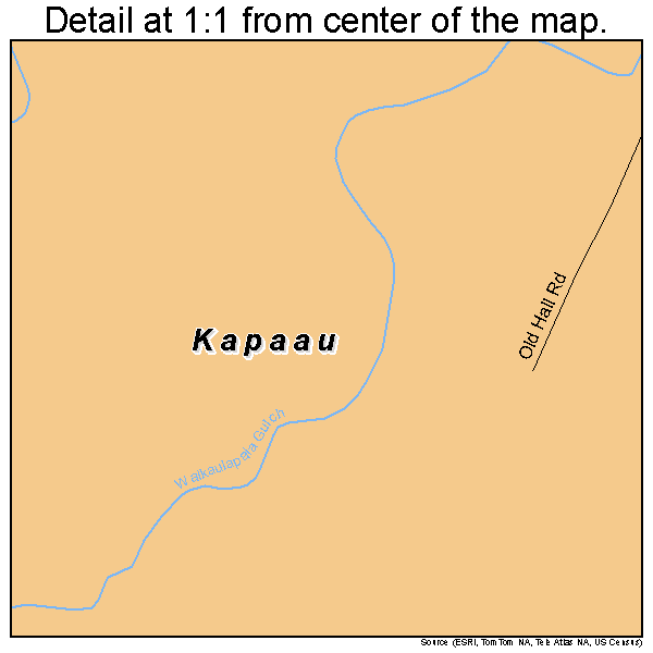 Kapaau, Hawaii road map detail