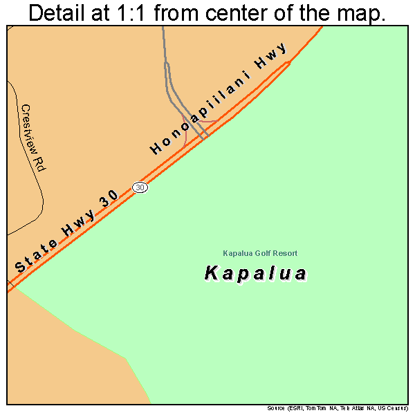 Kapalua, Hawaii road map detail