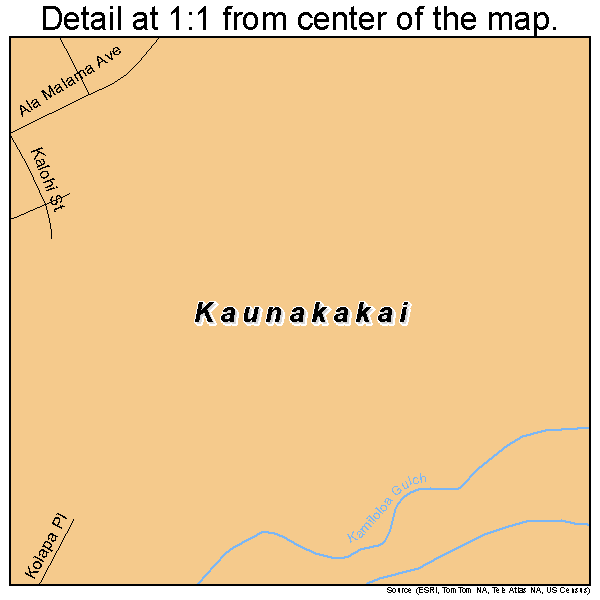 Kaunakakai, Hawaii road map detail