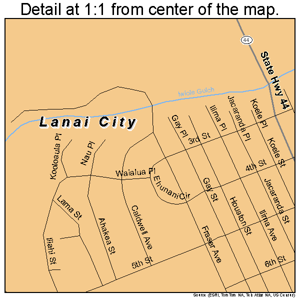 Lanai City, Hawaii road map detail