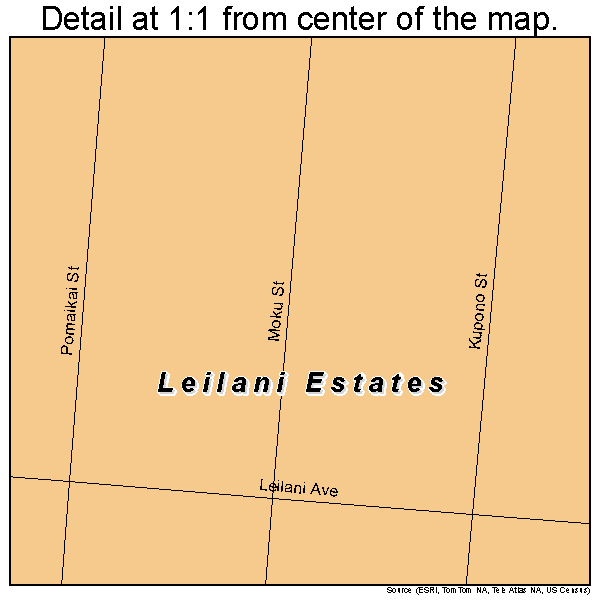 Leilani Estates, Hawaii road map detail