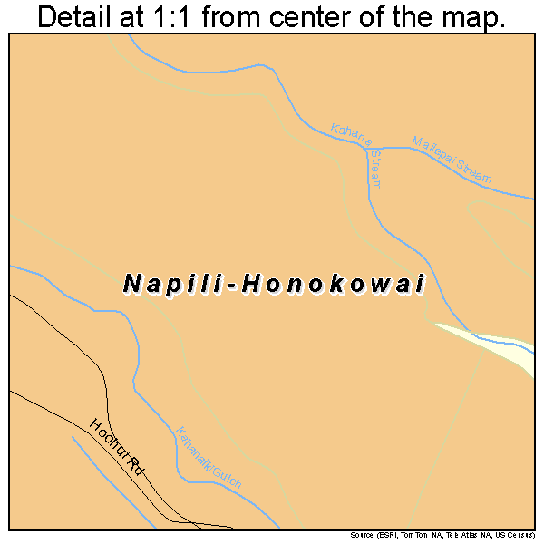 Napili-Honokowai, Hawaii road map detail