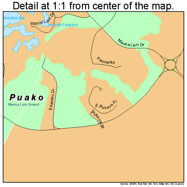 Puako, Hawaii road map detail
