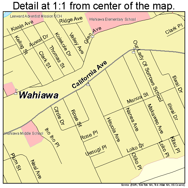 Wahiawa, Hawaii road map detail