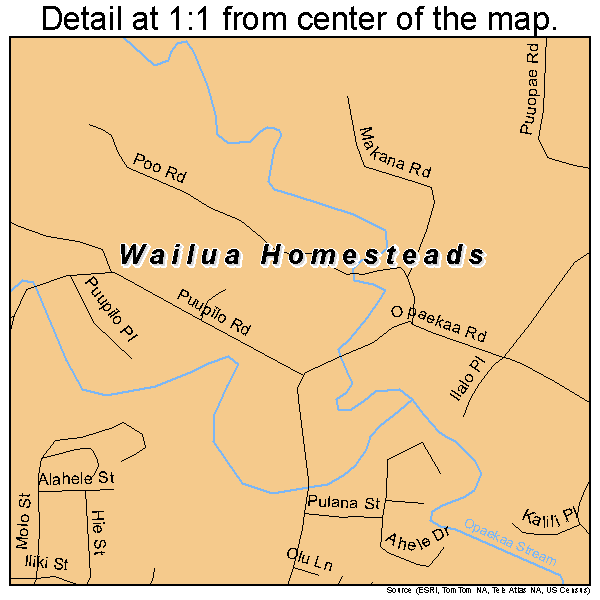 Wailua Homesteads, Hawaii road map detail