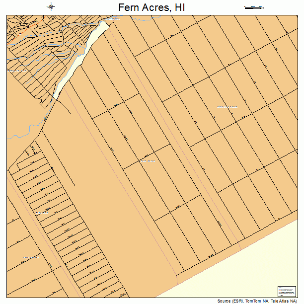 Fern Acres, HI street map