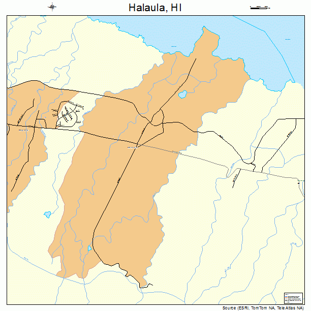 Halaula, HI street map