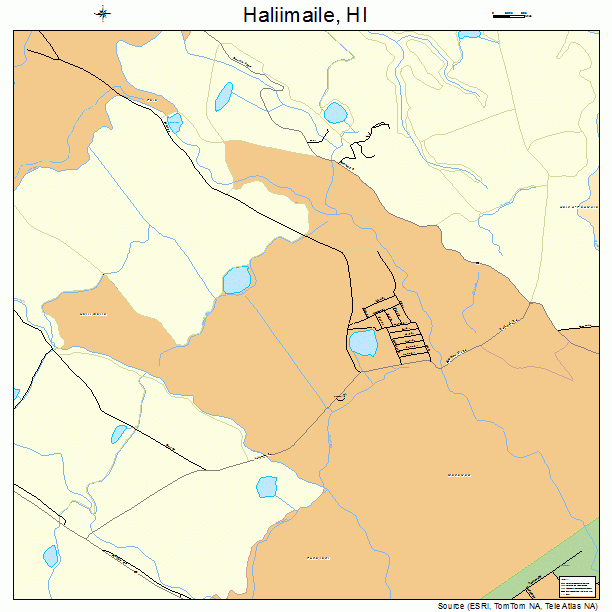 Haliimaile, HI street map