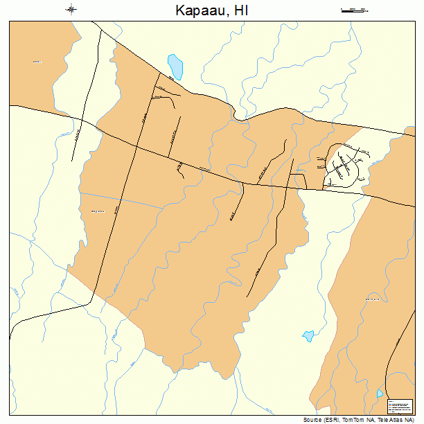 Kapaau, HI street map