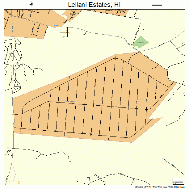 Leilani Estates, HI street map