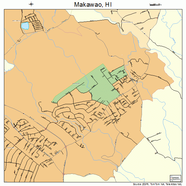 Makawao, HI street map