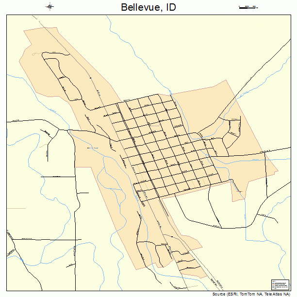 Bellevue, ID street map