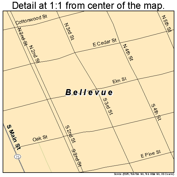 Bellevue, Idaho road map detail