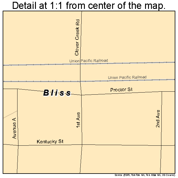 Bliss, Idaho road map detail